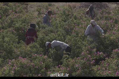 مستند ایران زاد به کاشان و اصفهان رسید