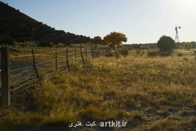 ماجرای زنگار ادامه دارد