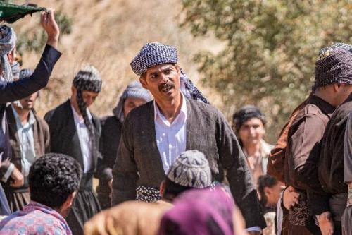 درخت گردو بصورت رایگان تماشایی می شود