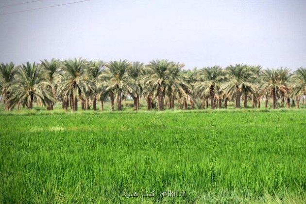 لالایی هایی که مهر وطن را با خون ما می آمیزند