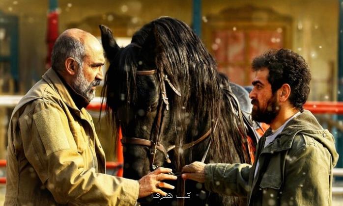 فیلمهای جدید اکران مشخص شد تدارک نمایش کوسه و ناتوردشت