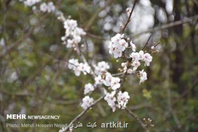 رادیو گفتگو عیدانه تدارك دید