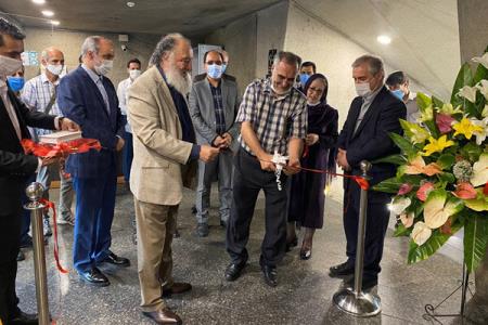 مشق عشق در برج آزادی تماشایی شد