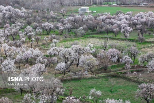 فضای سبز ایجاد می نماییم و از باغستان سنتی قزوین غافلیم